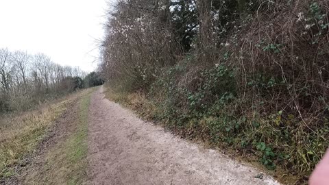 In a woodland. Let's go back to the ironage fort. GoPro on a chest mount