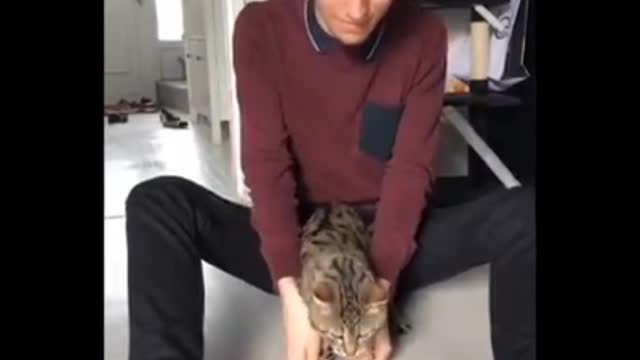 New funny pets videos | 2021 | animals | funny