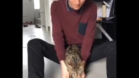 New funny pets videos | 2021 | animals | funny