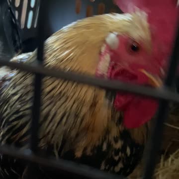 Goodmorning from Polka Dot