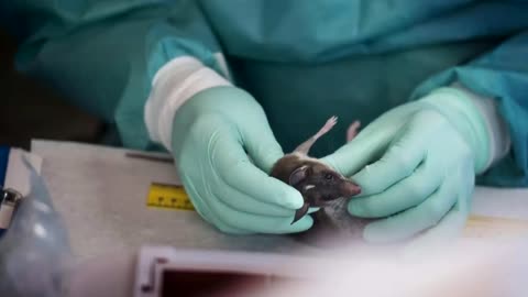 What is MonkeyPox and should you be concerned