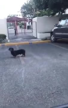 RESIDENCIAL #CLARIBEL #SANTIAGO #RD🇩🇴