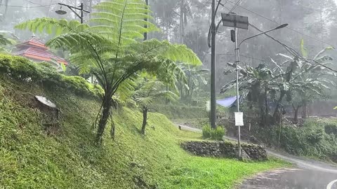 Rain in a beautiful and cool village--Indonesian rural atmosphere--suitable for insomnia