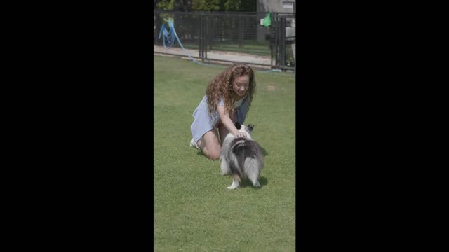 Woman Training her dog