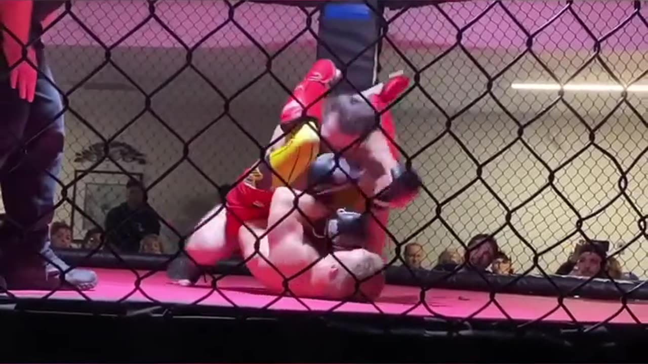 MMA Fight #5