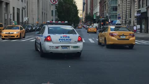 NYPD can’t read signs