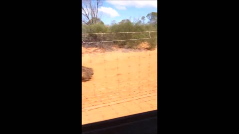 Emu Fail