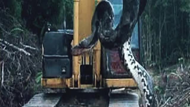 PART #3 THE WORLD'S SURPRISE ANCIENT MONSTER Sightings