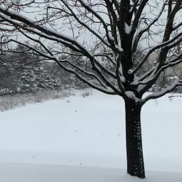 Winter. But always freedom.