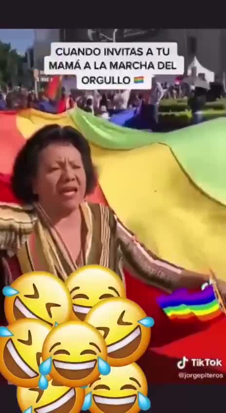 Morenista confunde bandera gay con bandera de Bolivia