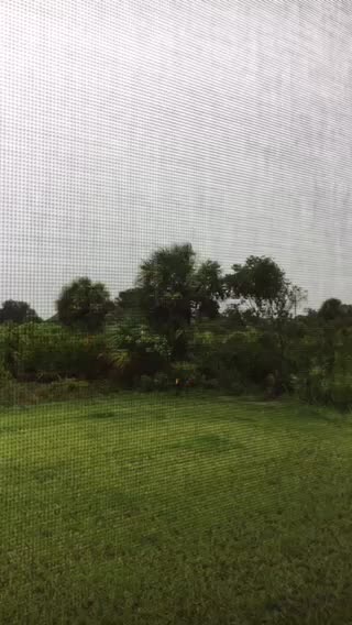 The start of hurricane Elsa