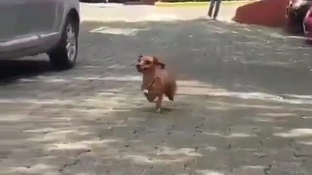 I want to fly