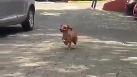 I want to fly