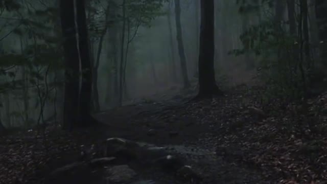 Inexplicably attracted by this dark and silent atmosphere
