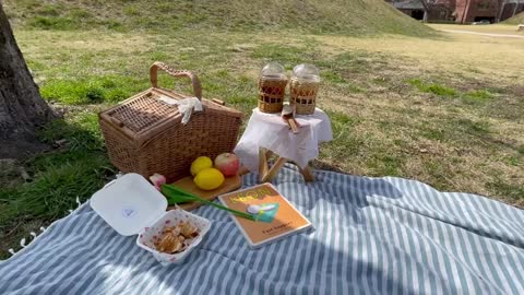 Go on a picnic on sunny day