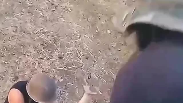 Wonderful moment
