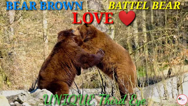 UNIQUE Third Eye,Bear Brown Bear Battel To Love