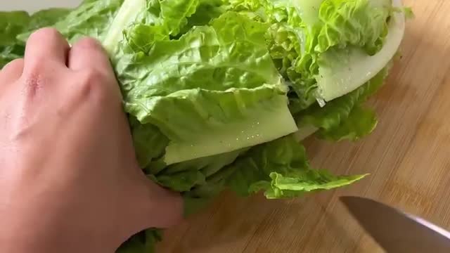 How to Regrow Lettuce from a Stem