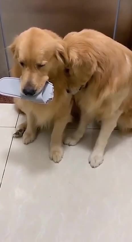 I am sure the neighbour’s cat did it 😂😂😂