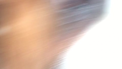 Boxer bites blue christmas ornament out of girl's hand