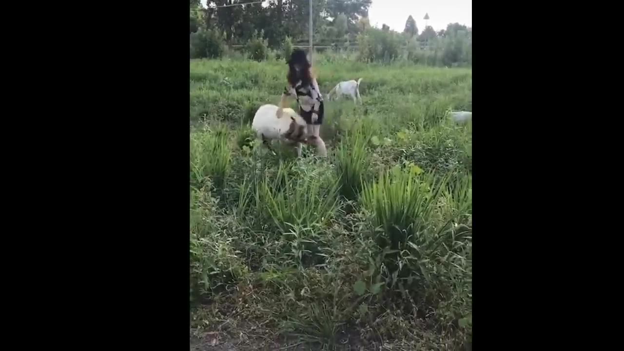 Funny 😄 moment