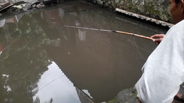 Bingo!fishing in the pond