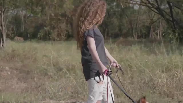 Have fun and play with a lovely dog