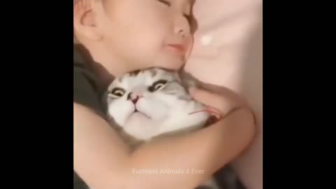 THE BEST OF FUNNY ANIMAL