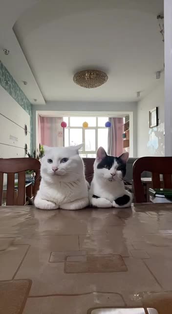 Me waiting for my food at the restaurant 🤣