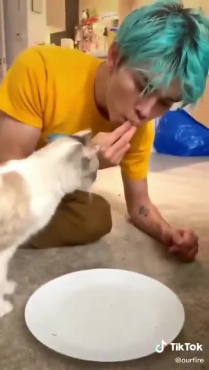 2.I pretend to eat in front of my cat 😅 #shorts