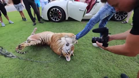 LION ATTACKED DUBAI RICHEST KID !!!-18