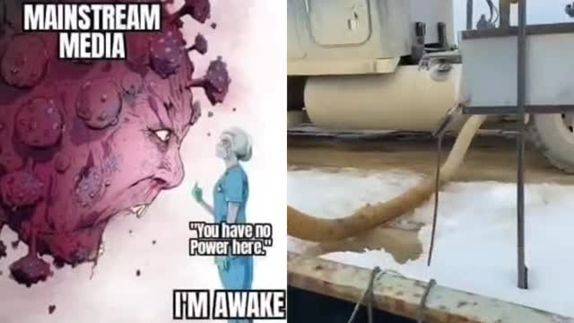 They Don't Know Nothing - They Are Fools