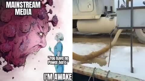 They Don't Know Nothing - They Are Fools