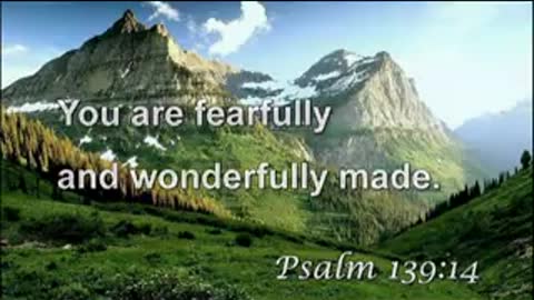 God’s love letter to you