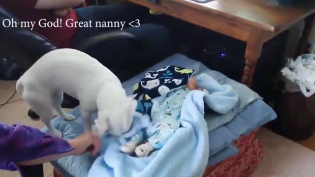 Dogs are the best friend of Babies 14