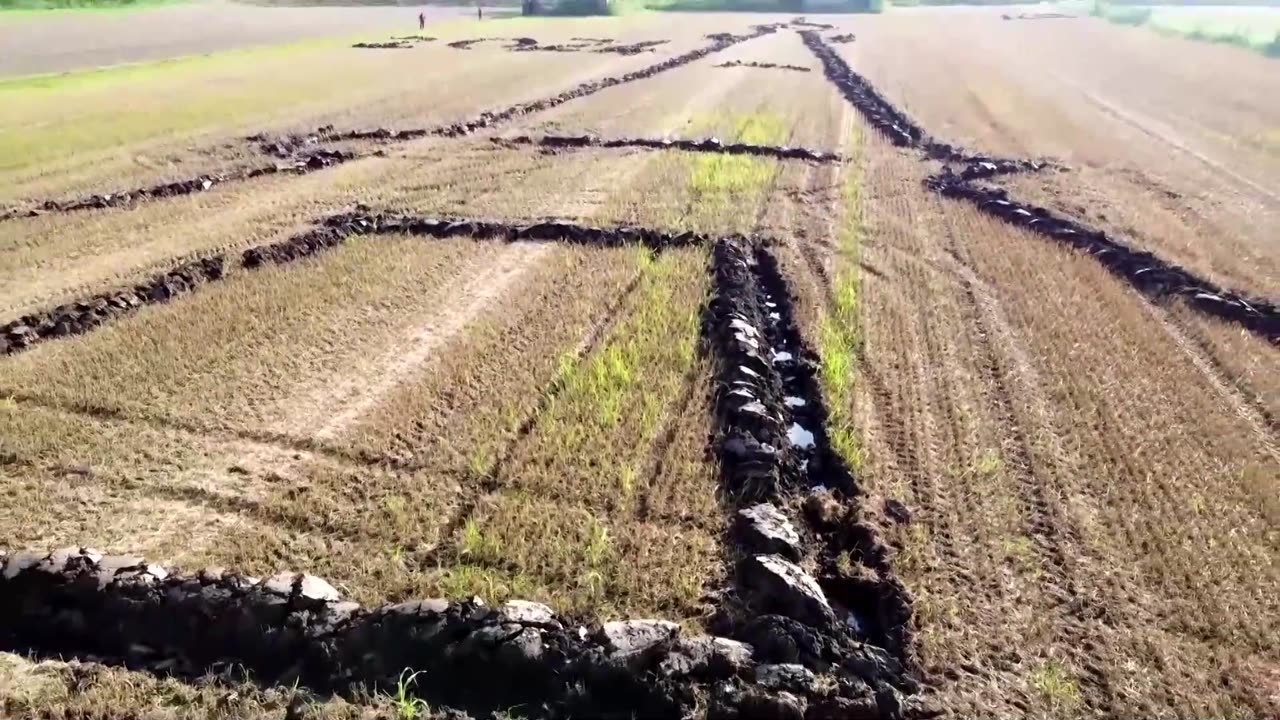 Italian artist celebrates Paris Olympics in a field