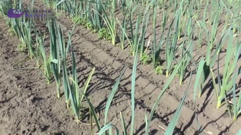 Agriculture Farm Equipment and Current Agriculture Technology