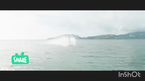 Action movie