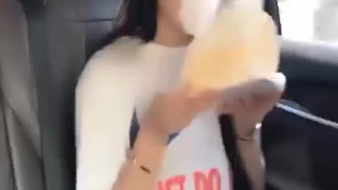Best funny video