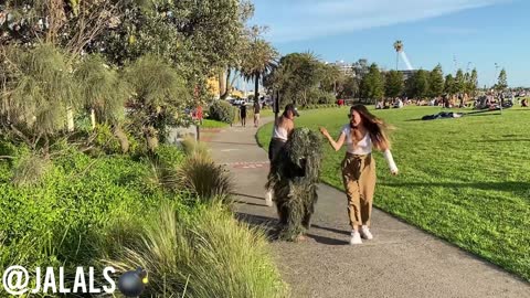 JALALS BUSHMAN SCARE PRANK #5