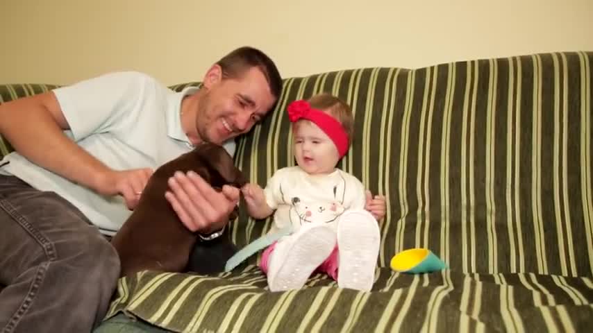 Cute_Baby_and_chocolate_Labrador_Puppy_-_the_First_Meeting