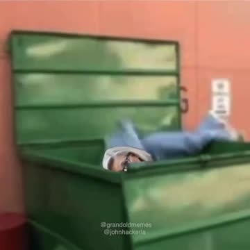 Politics - 2022 Rhino Republicans All End Up In Dumpster Liz Funny