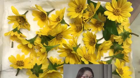 人物專訪 郎遠迪女士 漫談「果凍花藝」