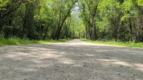 Peaceful Trail