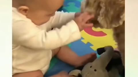 Funny baby with dog videos || dogs and baby laughing