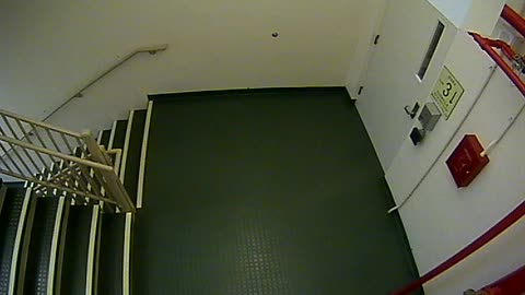8403OHOB03Stair4_2021-01-06_09h47min11s390ms.mp4