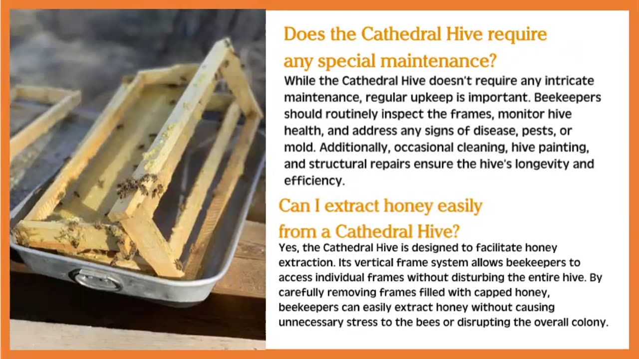 What is a Cathedral Hive?