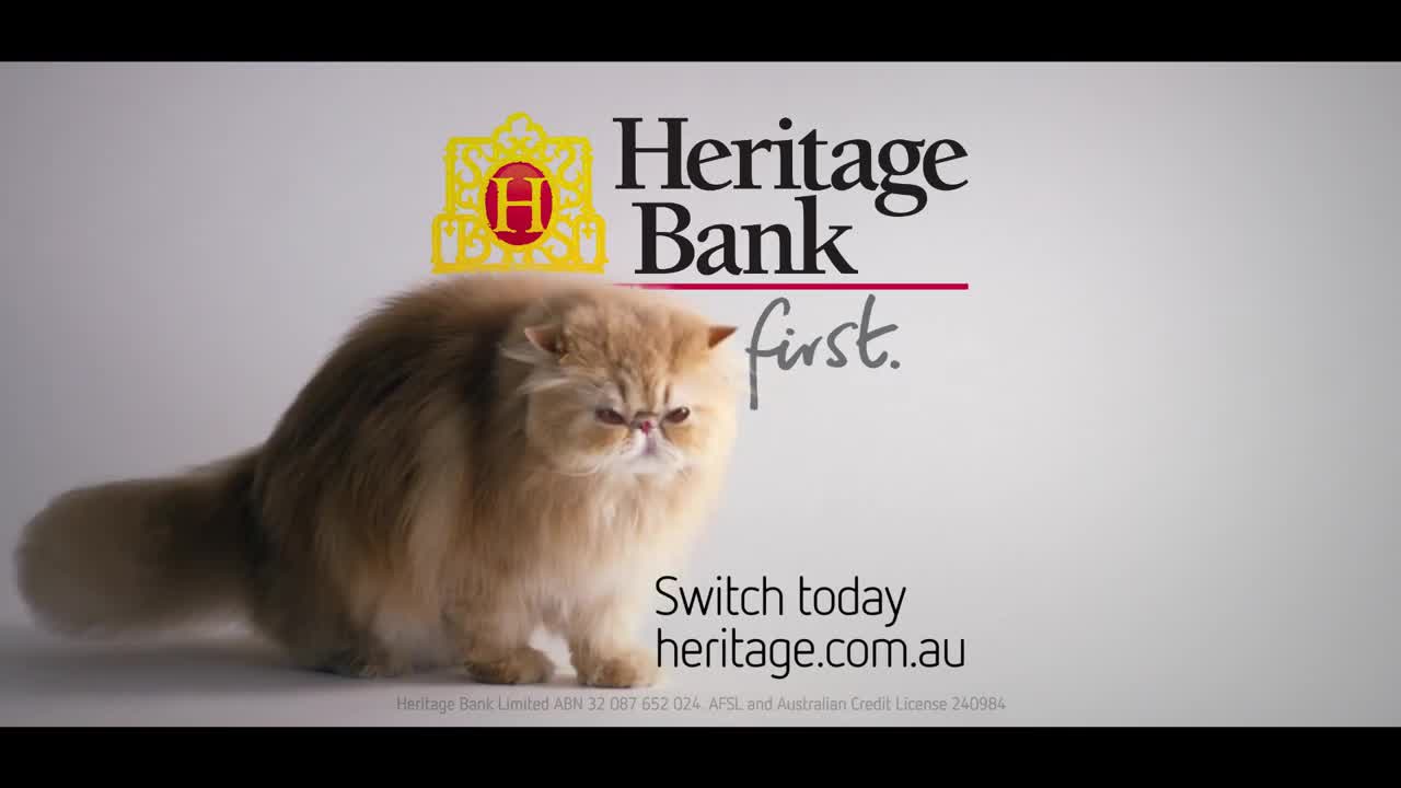 Heritage bank cats first fat cats