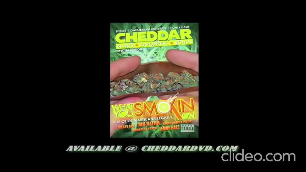 CHEDDAR PRESENTS...WHAT YOU SMOKING ON? (DVD)