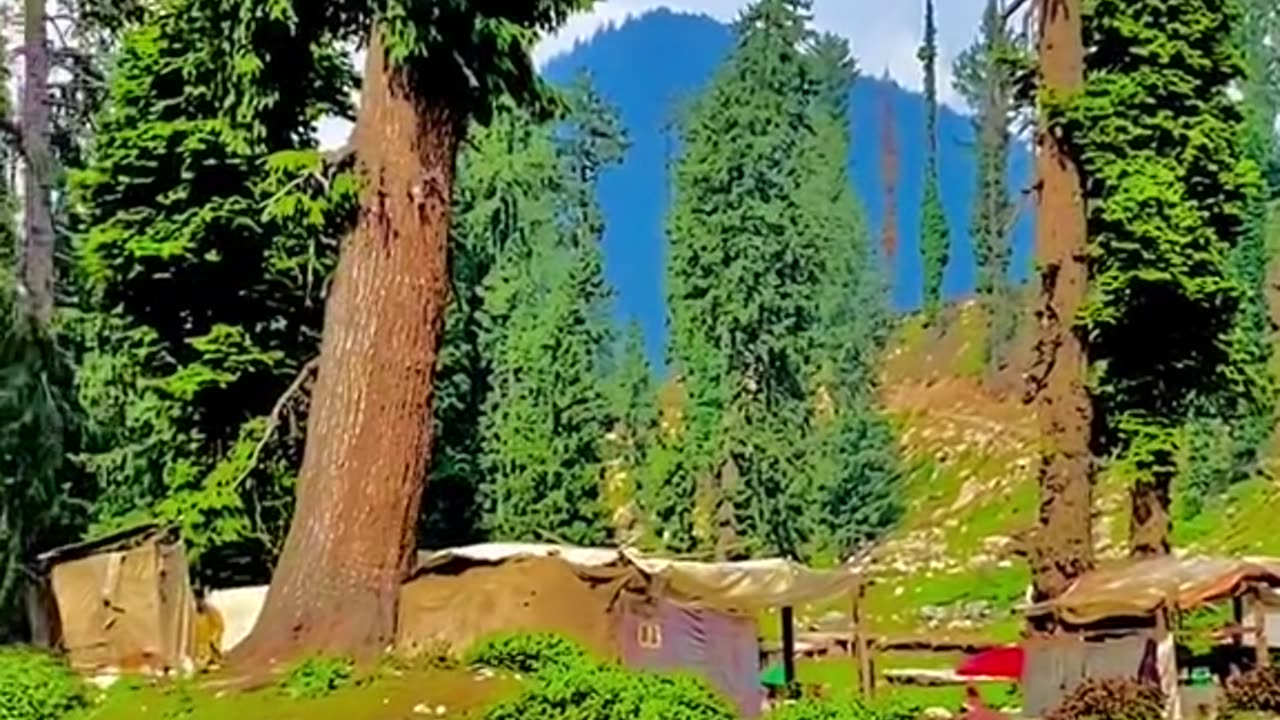 Beauty of Pakistan